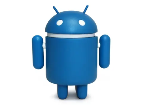 Catalogue photograph of Bluebot